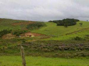 Fazenda em seritinga - minas gerais