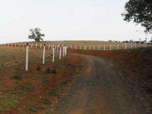 Fazenda em sao lourenco - minas gerais