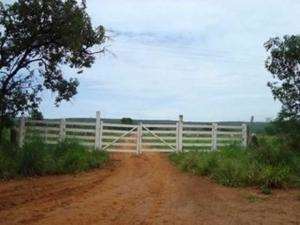 Fazenda em joao pinheiro (pecuária, reflorestament