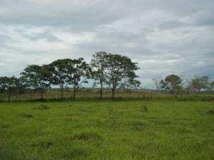 Fazenda em sao goncalo do abeté - minas gerais