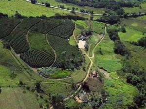 Fazenda em conceicao do rio verde - minas gerais