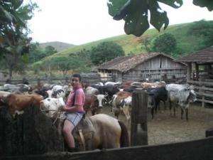 Propriedade a venda próx. a sao josé de ubá