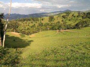 Sítio em camanducaia - minas gerais