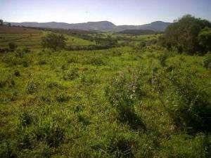 Fazenda em divisa nova - minas gerais