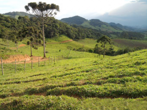 Sítio em camanducaia - minas gerais