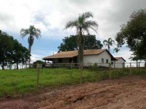 Fazenda em joao pinheiro - minas gerais