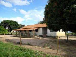 Fazenda em joao pinheiro - minas gerais