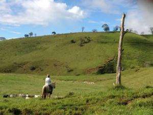 Propriedade a venda próx. a sao josé de ubá