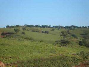 Fazenda em conceicao do rio verde - minas gerais