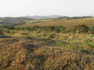 Fazenda em sao lourenco - minas gerais