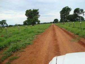 Fazenda em joao pinheiro (pecuária, reflorestament