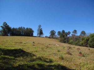 Fazenda em tres coracoes - minas gerais