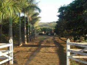 Fazenda em conceicao do rio verde - minas gerais