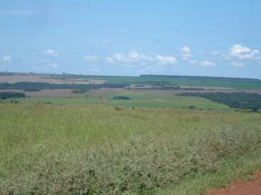 Fazendas em goiás