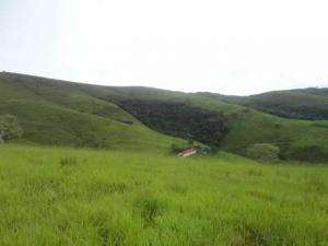 Fazendas a venda, a 8 km da cidade 5 km do asfalto