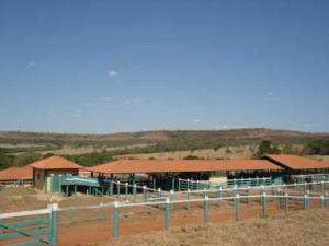 Fazenda em veríssimo - minas gerais