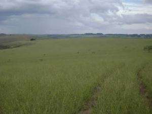 Fazenda em araxá - minas gerais