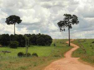 Fazenda em marandu