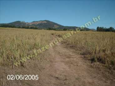 Fazendinha em serra negra - sp. com 20 alqueires