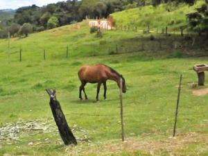 Venda possui 4 1/2 alquer, casa