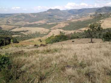 Fazenda a venda em paraná município de prudentópol