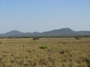 Fazenda 200 ha