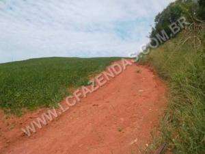 Fazenda em serrania - minas gerais