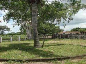 Fazenda em buritizeiro - minas gerais