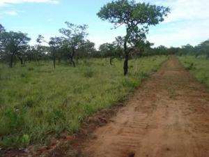 Fazenda em santa fé de minas - minas gerais