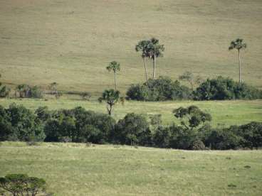 Linda fazenda na chapada dos veadeiros