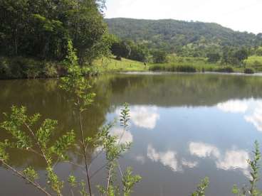 Lindo sitio (fazenda de 15 alqueires corumbaiba)