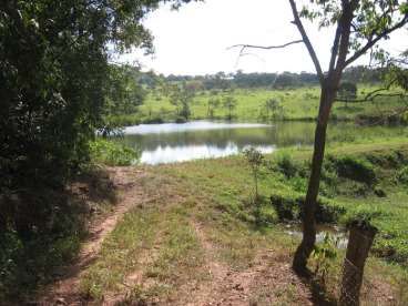 Lindo sitio (fazenda de 15 alqueires corumbaiba)