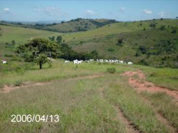 Minas gerais (regiao de lambari). fazenda