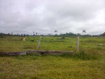 Mt - alta floresta - mt fazendas