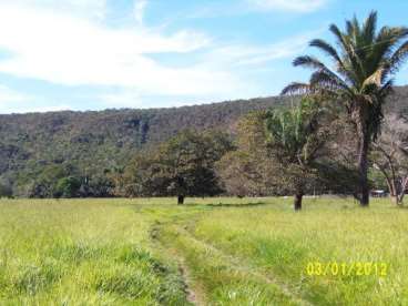 Mt - alto paraguai - mt fazendas 2