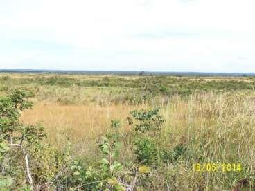 Mt - alto paraguai - mt fazendas