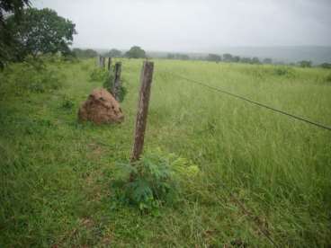 Mt - alto paraguai - mt fazendas