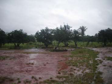 Mt - alto paraguai - mt fazendas