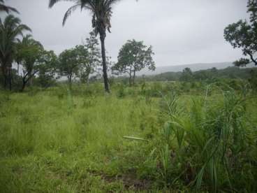 Mt - alto paraguai - mt fazendas