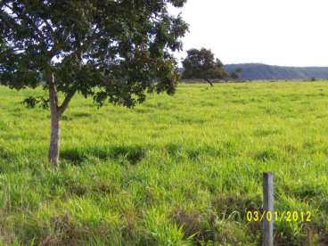 Mt - alto paraguai – mt fazendas