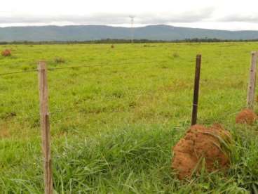 Mt - barra do bugres - mt fazendas