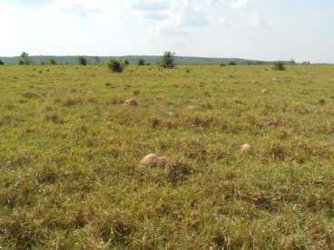 Mt - barra do bugres - mt fazendas