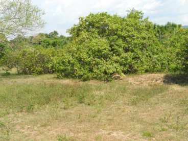 Mt - barra do bugres - mt fazendas