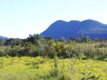 Mt - cáceres - mt fazendas