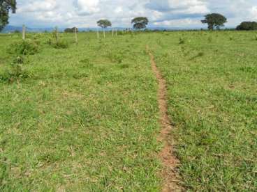 Mt - cuiabá - mt fazendas