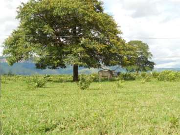 Mt - cuiabá - mt fazendas