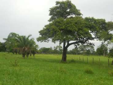 Mt - cuiabá - mt fazendas