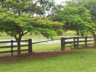 Mt - cuiabá - mt fazendas