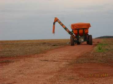 Mt - diamantino - mt fazendas