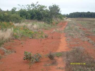 Mt - diamantino - mt fazendas